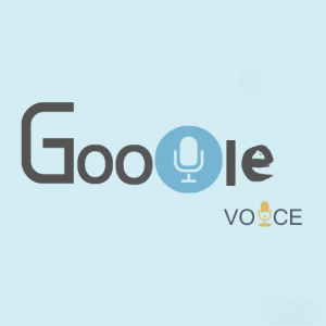 Google Voice account